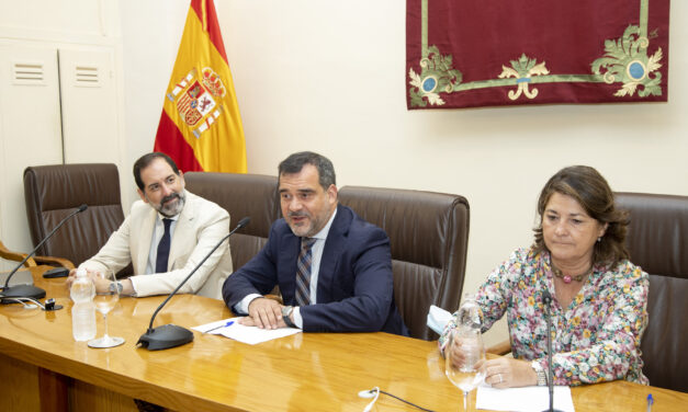 Actividades realizadas por la Subcomisión de Menores en el año 2022